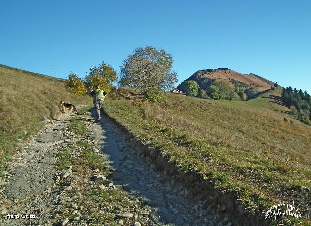 05 Usciamo dal bosco.JPG